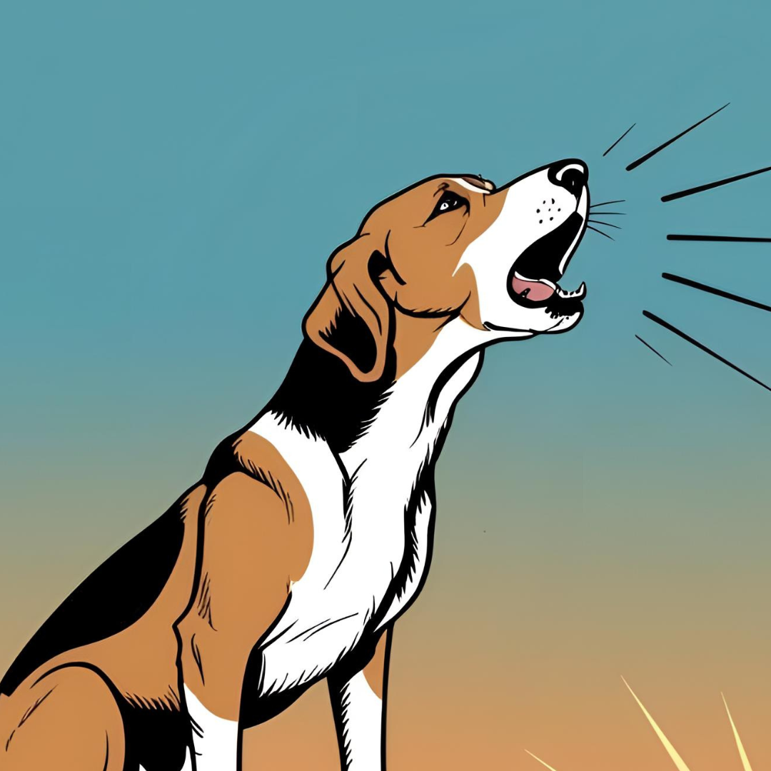 Hound dogs have a tendency to howl when they are excited